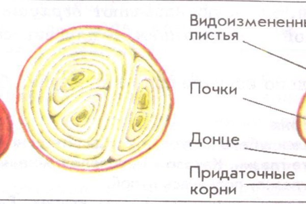 Кракен гидра