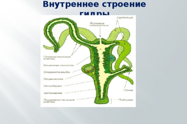 Kraken настоящая ссылка