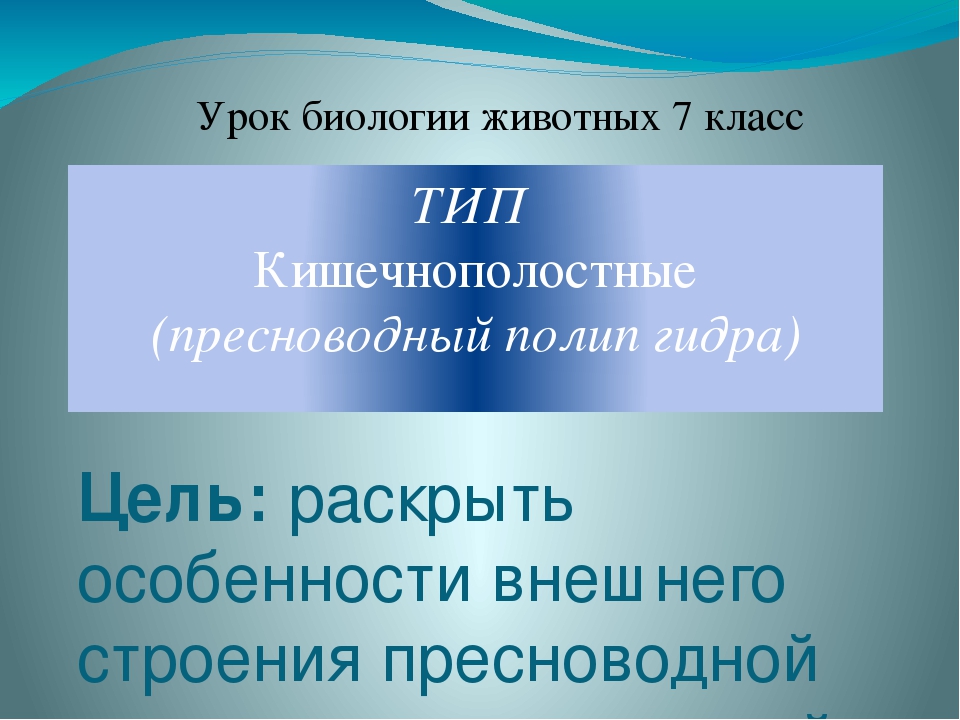 Кракен рабочий сайт